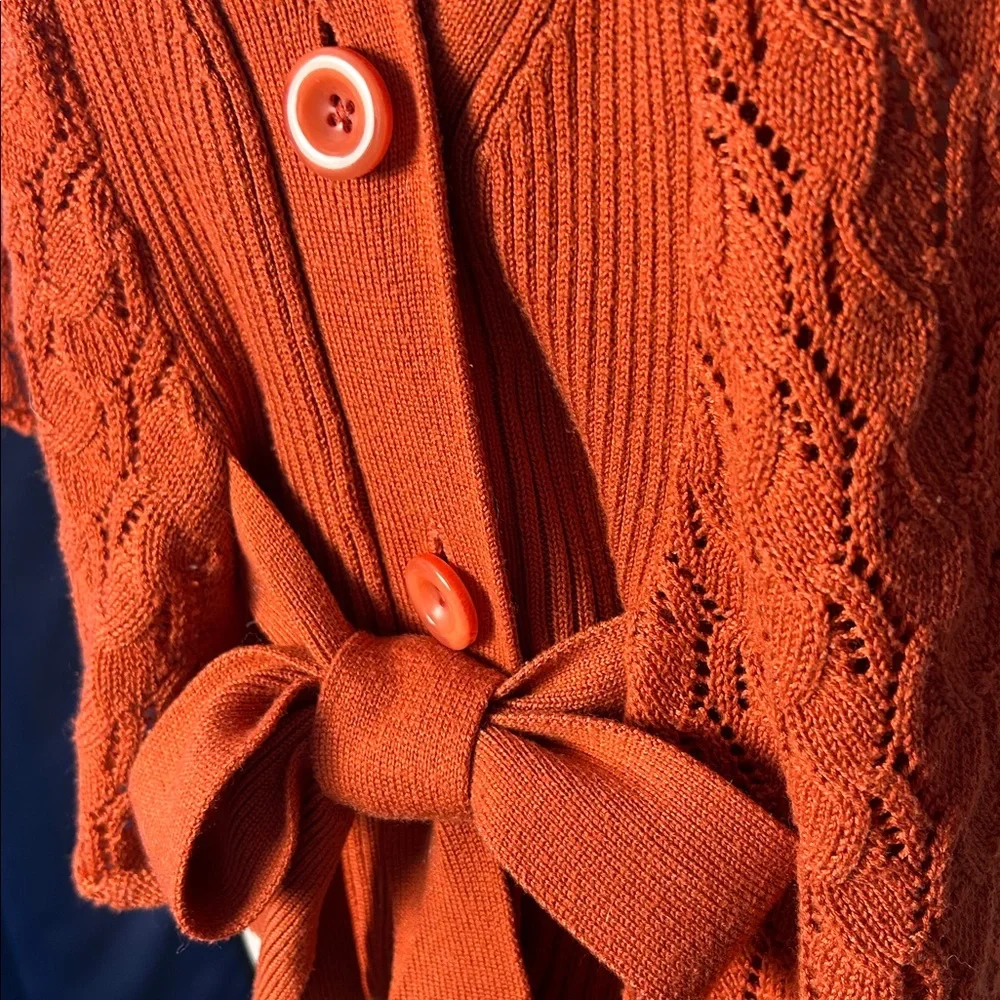 ModBe Retro Styled Burnt Orange Cardigan (Size S)